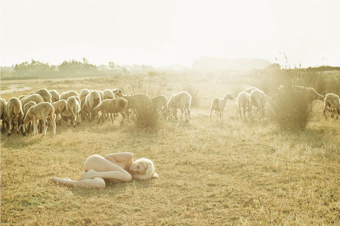 Frau liegt auf Weide mit Schafen im Hintergrund. Aktportfolio Flora P.