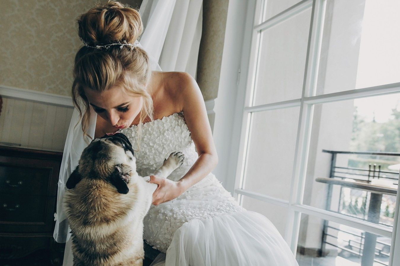Hochzeitsfotografie – Haustiere