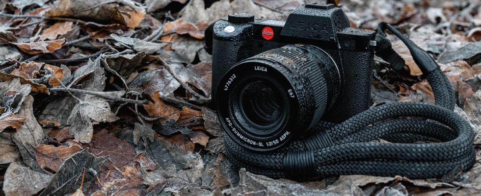 Leica SL2 im Laub
