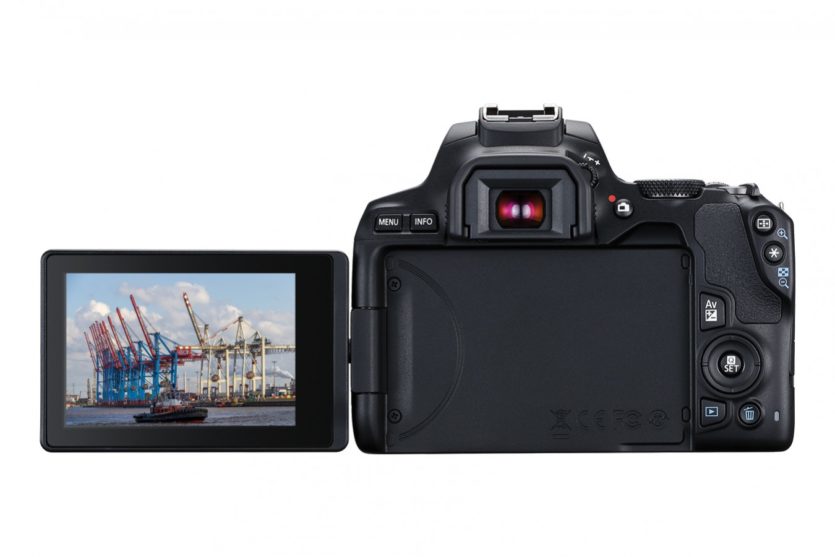 Canon EOS 250D back Der Monitor lässt sich auch zur Seite ausklappen und für Selbstportraits nutzen.