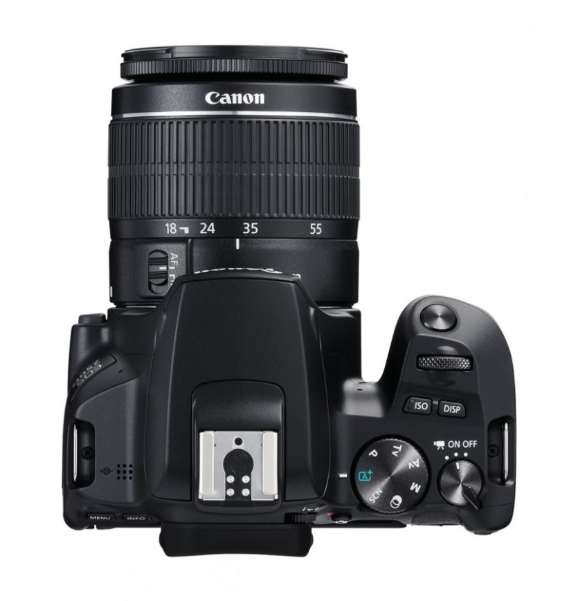Canon EOS 250D top Trotz ihrer geringen Größe liegt die EOS 250D gut in der Hand. Dem Blitzschuh fehlt der Mittenkontakt.