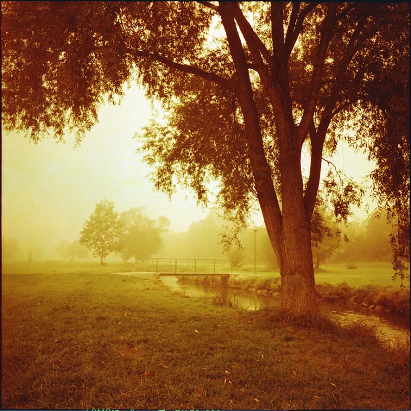 Fotografieren im Herbst: Nebel zur Morgenstund
