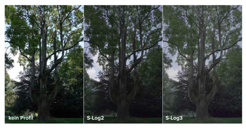Profil-Einstllungen Profile lassen auf Fotos und Videos anwenden, wobei Fotografen eher zum Raw greifen dürften. S-Log2 erweitert den Dynamikumfang bereits deutlich, S-Log3 noch stärker.