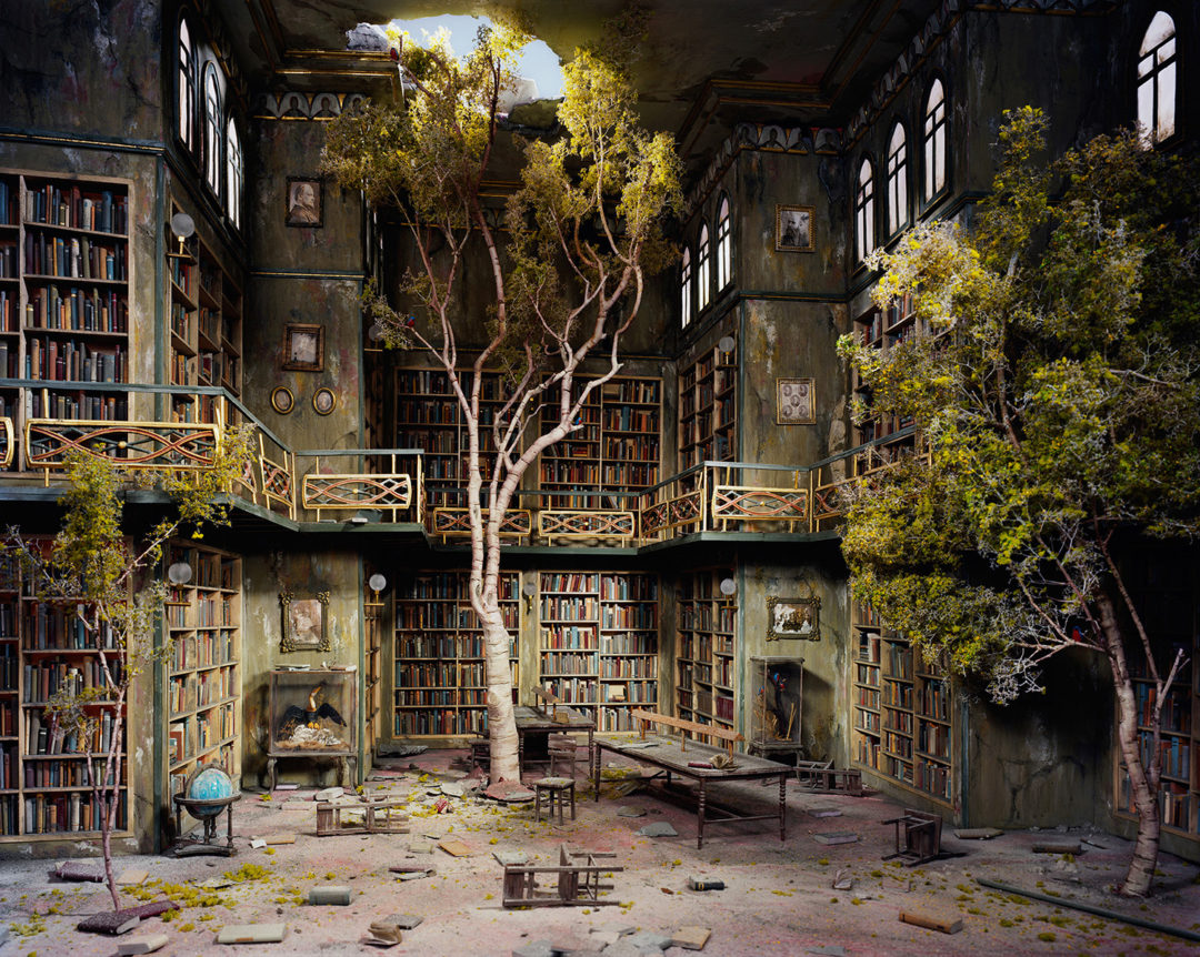 alte, verlassene Bibliothek, in der Bäume aus dem Boden wachsen