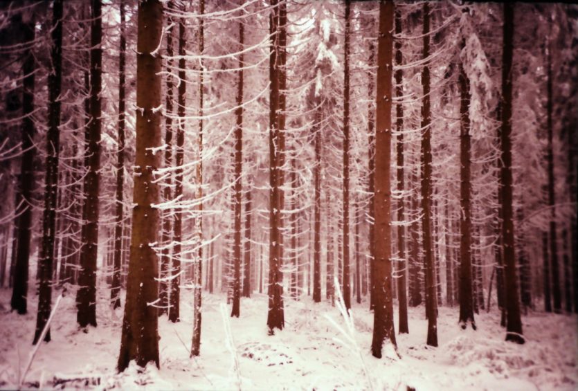 Winterfotografie: Fichtelgebirge_03