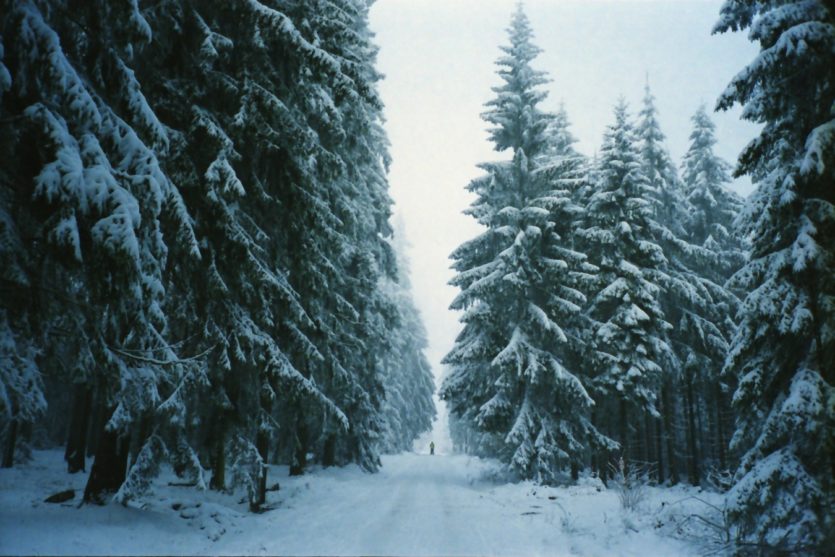 Winterfotografie: Fichtelgebirge_01