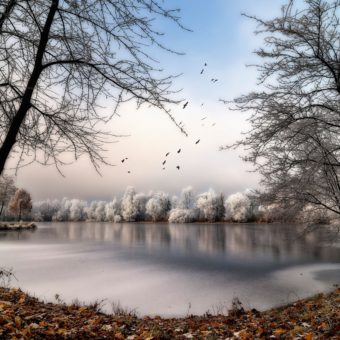 Winterbild: Landschaft mit Raureif