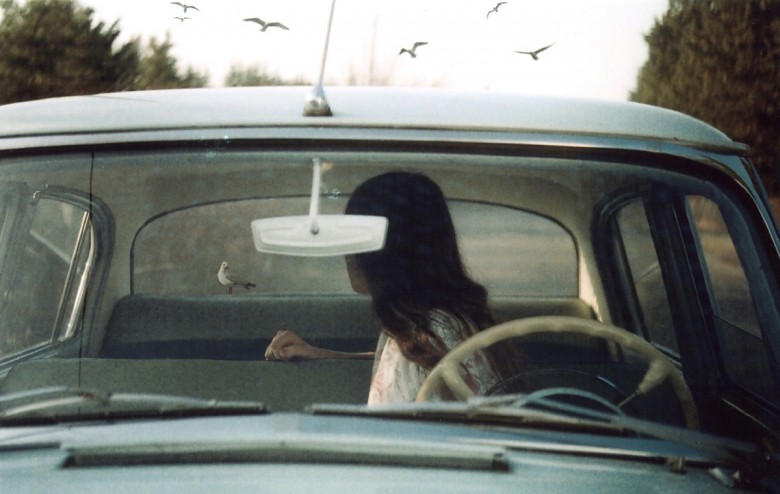 Analoges Bild einer Frau, die im Auto über die Schulter zu einem Vogel hinten auf dem Auto schaut.