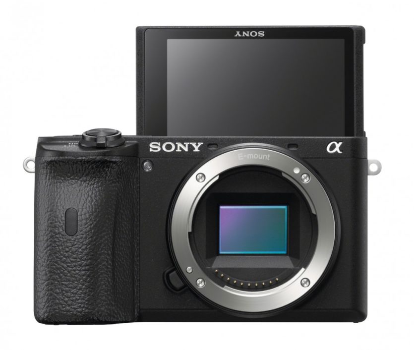 Sony Alpha 6600 Selfie-Position
