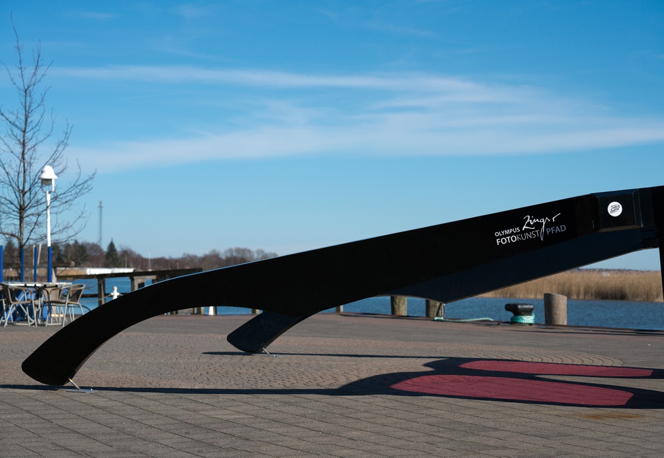 Testbild Sony FE 2,8/70-200 mm GM OSS: Riesige Sonnenbrille am Fotokunstpfad