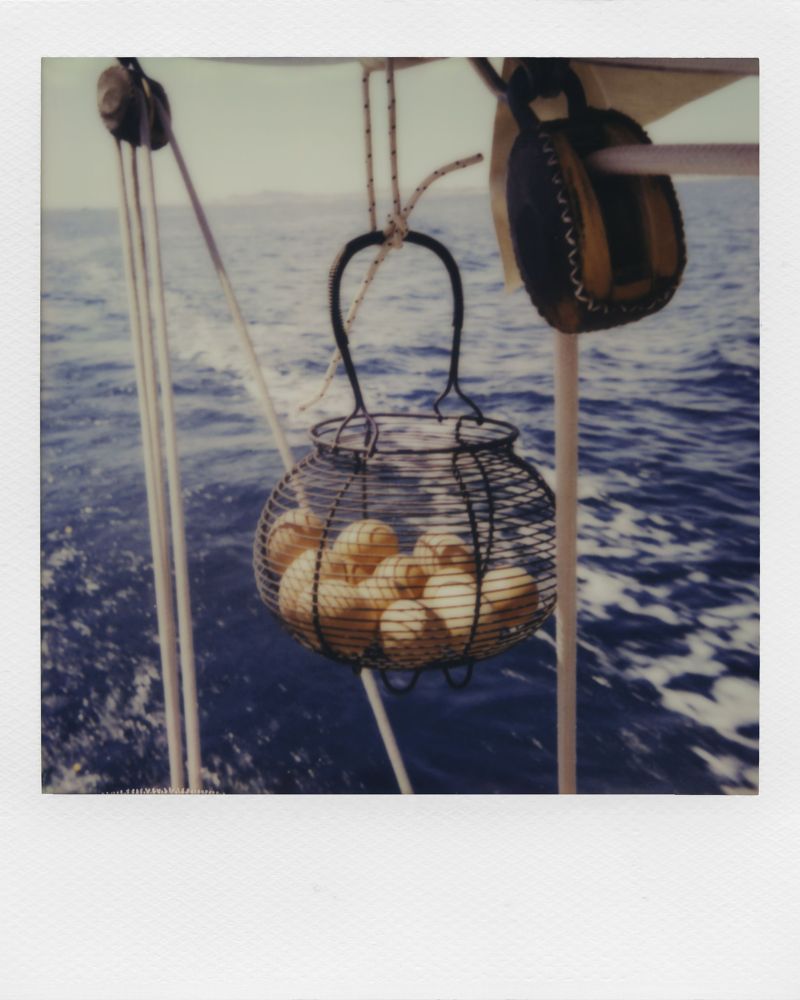Testbild mit Polaroid I-2: Kartoffeln hängen in einem Gitterkorb am Tau eines Segelbootes