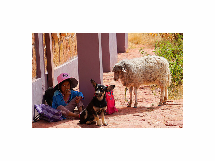 Reisefotografie, Kind mit Schaf und Hund