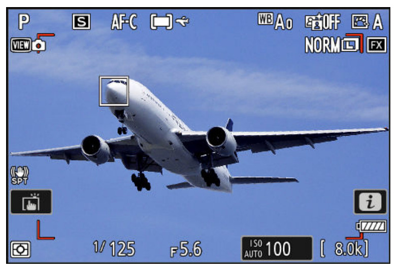 Wenn das Flugzeug groß genug in Bild ist, priorisiert die Z9 das Cockpit.