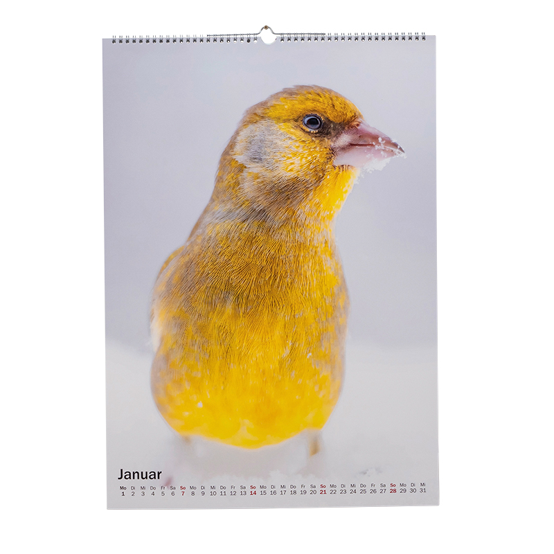 Hochformatiger Kalender von Cewe, der einen gelben Vogel zeigt.