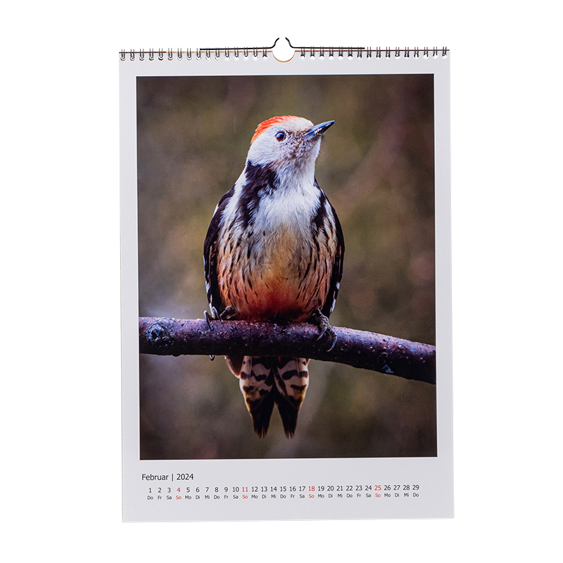 Hochformatiger Kalender von Fotobook, der einen Vogel auf einem Ast zeigt.