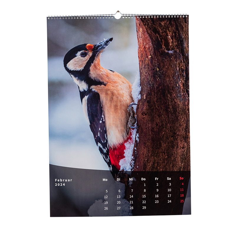 Hochformatiger Kalender von Saal, der einen Vogel an einem Baum zeigt.
