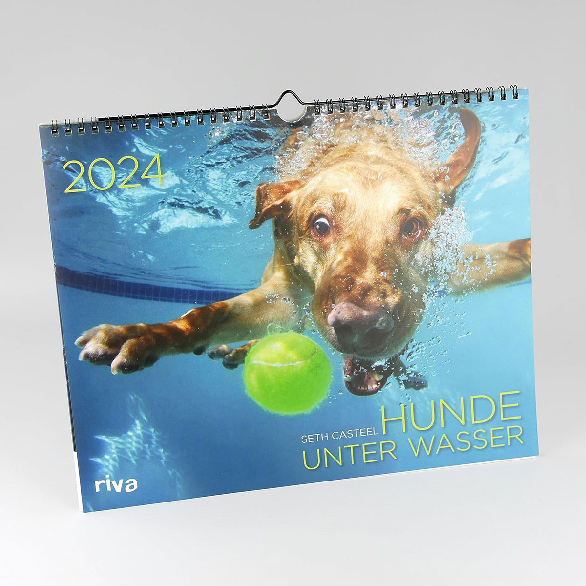 Hunde unter Wasser Kalender