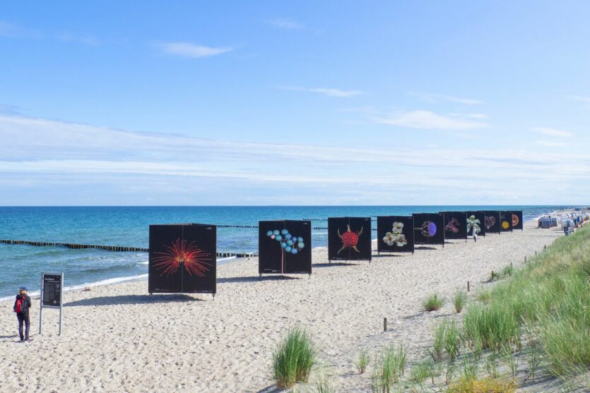 Ausstellung am Strand beim Fotofestival horizonte zingst