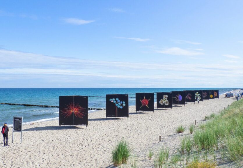 Ausstellung am Strand beim Fotofestival horizonte zingst