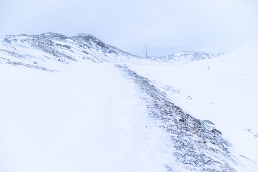 Schneelandschaft oberhalb von Hjerkinn, Norwegen